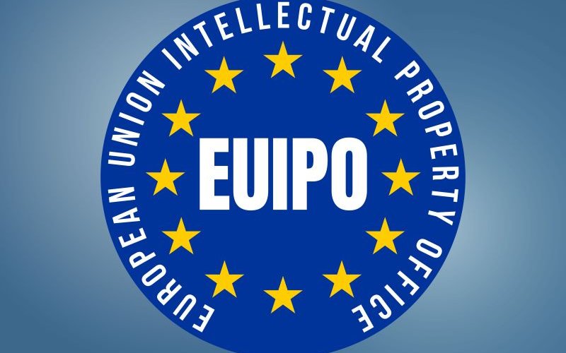 Workshop mit Gründer:innen